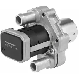 BorgWarner (Wahler) Borgwarner AGR-Ventil elektrisch, mit Dichtung