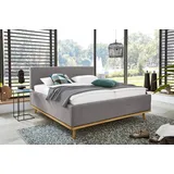Musterring Delphi 160 x 200 cm Grau