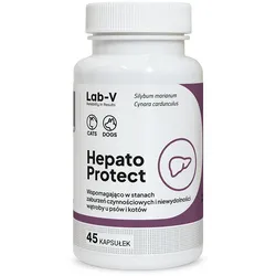LAB-V Hepato Protect - Unterstützung der Leberfunktion für Hunde und Katzen 45 Kapseln