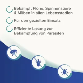 beaphar Dimethicare Ungezieferspray 500 ml