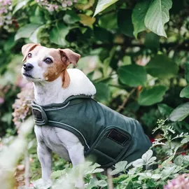 Kentucky Hundemantel Wasserdicht Olive  - XXS