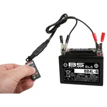 BS Battery BT01