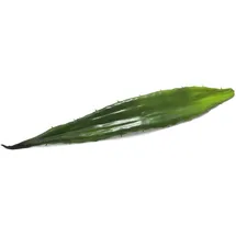 Europalms Aloeblatt (EVA), grün, 60cm
