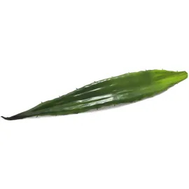 Europalms Aloeblatt (EVA), grün, 60cm