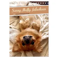 Calvendo Sassy, fluffy, fabulous - A year of Pekingese