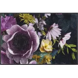 Wash+Dry Fußmatte, Anemone 50x75cm, innen und außen, waschbar