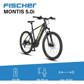 Fischer Montis 5.0i 2022 29 Zoll RH 46 cm schiefergrau matt