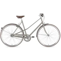 Gazelle Van Stael Grau Modell 2025