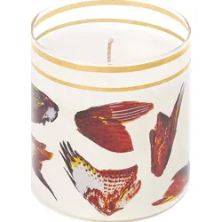 Toiletpaper Wings Kerze aus Glas