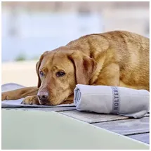 Wolters Kühlmatte Watchout 80 x 60 cm grau