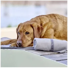 Wolters Kühlmatte Watchout 80 x 60 cm grau