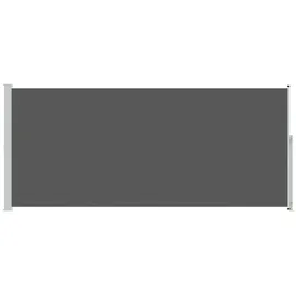vidaXL Seitenmarkise 100 x 300 cm grau Polyester 1 St.
