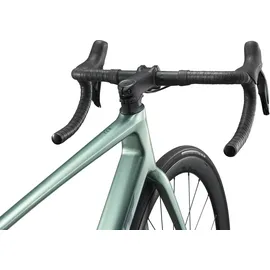 Giant TCR Advanced 0 2026 28 Zoll RH 54 cm grün