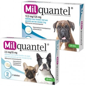 Milquantel ontwormingstabletten voor de hond  Hond 5+ kg 4 tabletten