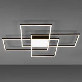 Paul Neuhaus Q-Asmin 1 LED eckig schwarz