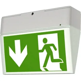 Ceag Notlichtsysteme Einzelbatterie-Leuchte LED 3h IP54 EURO X