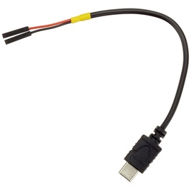 DeLOCK - USB-C (M) bis 2 pin USB 2.0 USB 2.0-10 cm - Schwarz