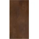 winwall Duschrückwand Duschrückwände ALU-Verbundplatte Dekor: Dunkler Rost, (1-tlg), Wandverkleidung aus Alu braun 125 cm x 250 cm