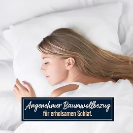 SPESSARTTRAUM 2 Stück Daunenpass Sommer Daunen Bettdecke Sommerdecke 320g 135x200 - Weiß