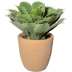 CREATIV green künstliche Pflanze Echeveria, ca 32cm