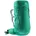 Fern/Alpinegreen