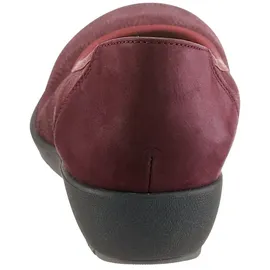 Classic Dog 855647 rot 39