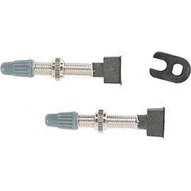 EFFETTO MARIPOSA Caffe Tubeless-Ventil 40mm Aluminium Paar silber
