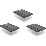 BranQ - Home essential Schuhbox Shoe Box mit Belüftungshaltelöcher und Deckel Kunststoff, 8l, Set von 3 Stück