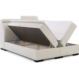 Fun Möbel Boxspringbett Bett NESTOR 180x200cm in Stoff Dress Me Grau Set.1 - Grau