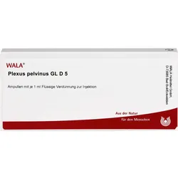 Plexus Pelvinus Gl D5 Ampullen