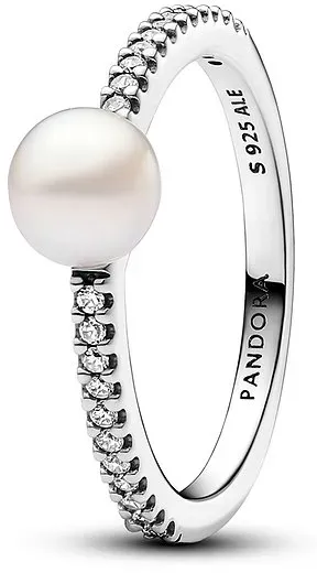 Pandora Damenring Pandora Timeless 193158C01-56 - silber - 56