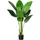 Creativ green Künstliche Zimmerpflanze CREATIV GREEN "Strelitzia", grün, H:120cm, Kunststoff, Kunstpflanzen, Künstliche Zimmerpflanze