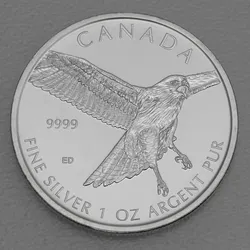 Silbermünze 1oz Red-tailed Hawk 2015 Birds of Prey (Kanada)