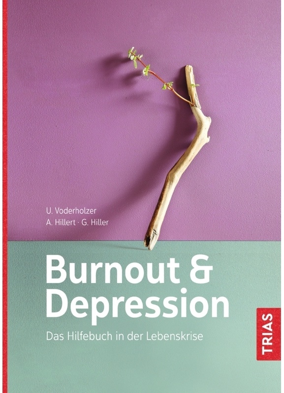 Burnout Und Depression - Ulrich Voderholzer  Andreas Hillert  Gabriele Hiller  Kartoniert (TB)