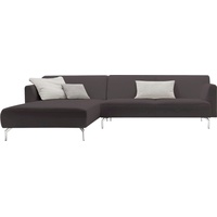 hülsta sofa Ecksofa hs.446, in minimalistischer, schwereloser Optik, Breite 275 cm braun|grau