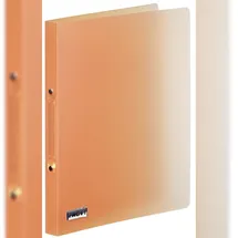 Brunnen 106551640 Ringbuch FACT!pp orange