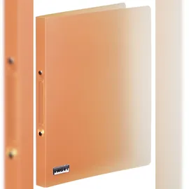 Brunnen 106551640 Ringbuch FACT!pp orange