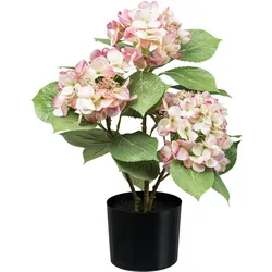 CREATIV green Künstliche Pflanze Hortensienbusch in rosa im Topf