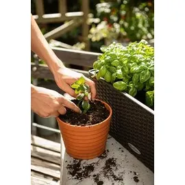 LECHUZA Veggiepon 12 l