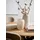 LEONARDO Dekovase Vase, 1 St.), beige,
