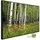 Papermoon Infrarotheizung Aspen Grove + Orange Wildflowers 800 W Orange