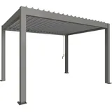 Biohort Pergola 4,045 x 3,12 m Grau/Silber