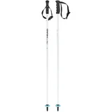 Head Worldcup SL JR Skistöcke, Weiß/Schwarz/Speedblau