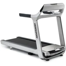 Horizon Fitness Paragon X