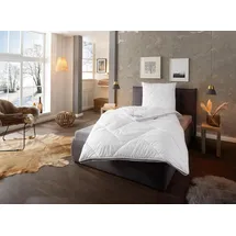 fan Microfaserbettdecke »Climacontrol®, Bettdecke in 135x200, 155x220 cm und weiteren Größen« warm Bezug Microfaser 1 Stk. tlg. mit optimierter Klimafunktion durch Lüftungsband weiß B/L: 135 cm x 200 cm