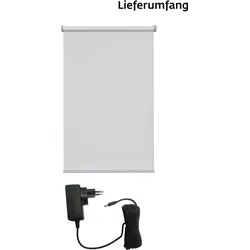 Elektrisches Rollo SUNLINES "Miami", grau (grau, silberfarben), B:120cm H:180cm, Polyester, Rollos, Verdunklungsrollo