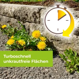 Protect Garden Permaclean Grundstoff Acetum, - 5 Liter