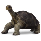 Collecta - 3388619 – Figur – Wildtiere – Galápagos Riesenschildkröte