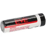 Eve ER14505 AA 2400 mAh 20 St.