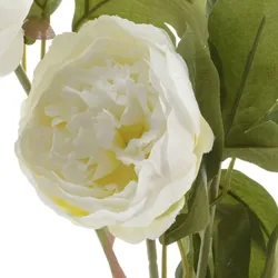 Pfingstrose mit 2 Blüten und Knospe am Stiel Kunstblume Päonie H: 75cm weiß